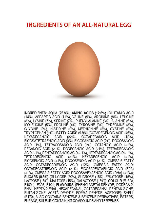 ingredients-of-an-all-natural-egg1