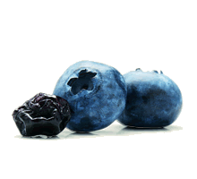 blueberry_trans