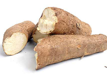 cassava root