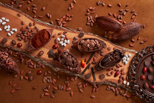 Cacao Noel Banner Web 1