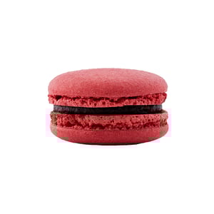 JN1002 Raspberry macaron