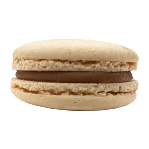JN1007-Salt-Caramel-Macaron-Single