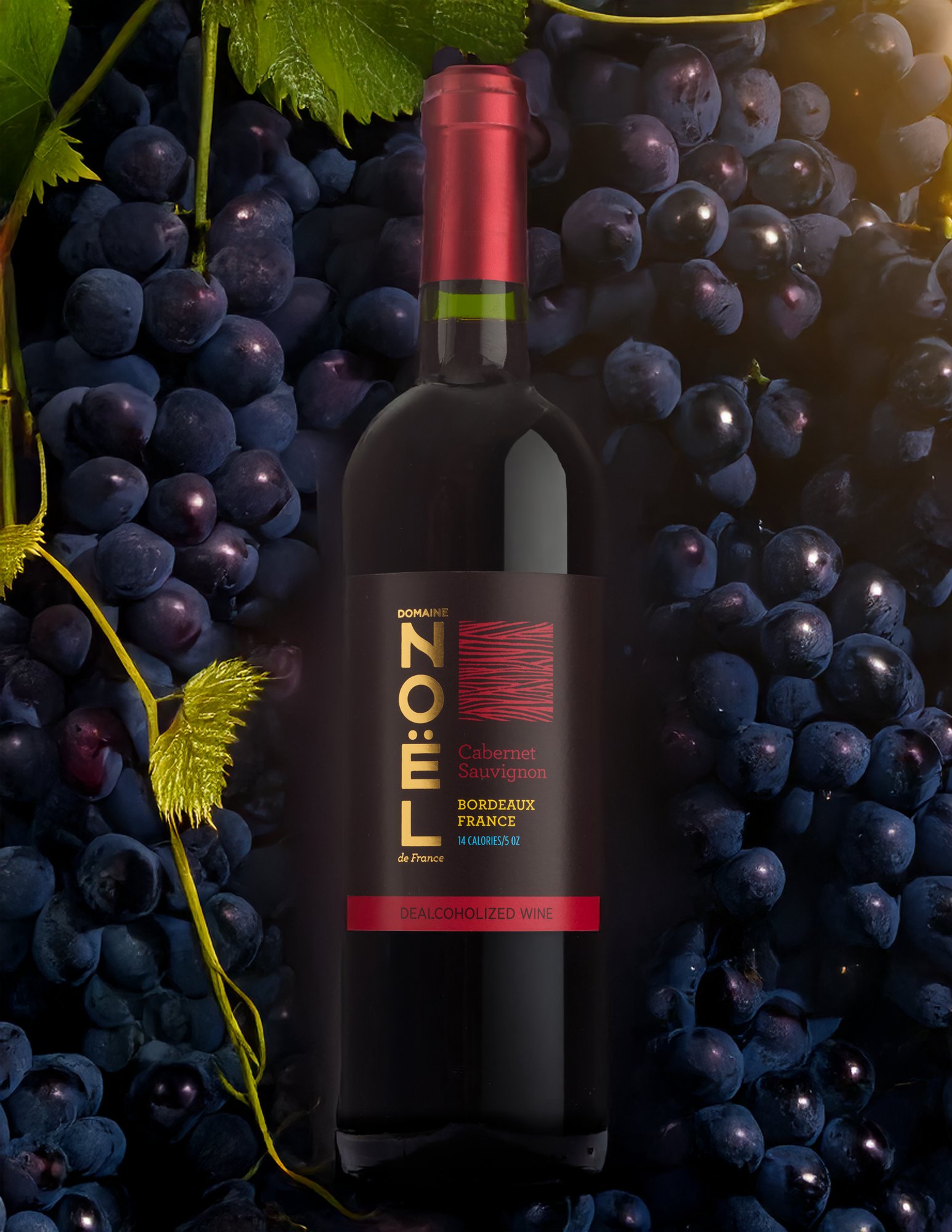Maison Noel de France Cabernet with grapes v2