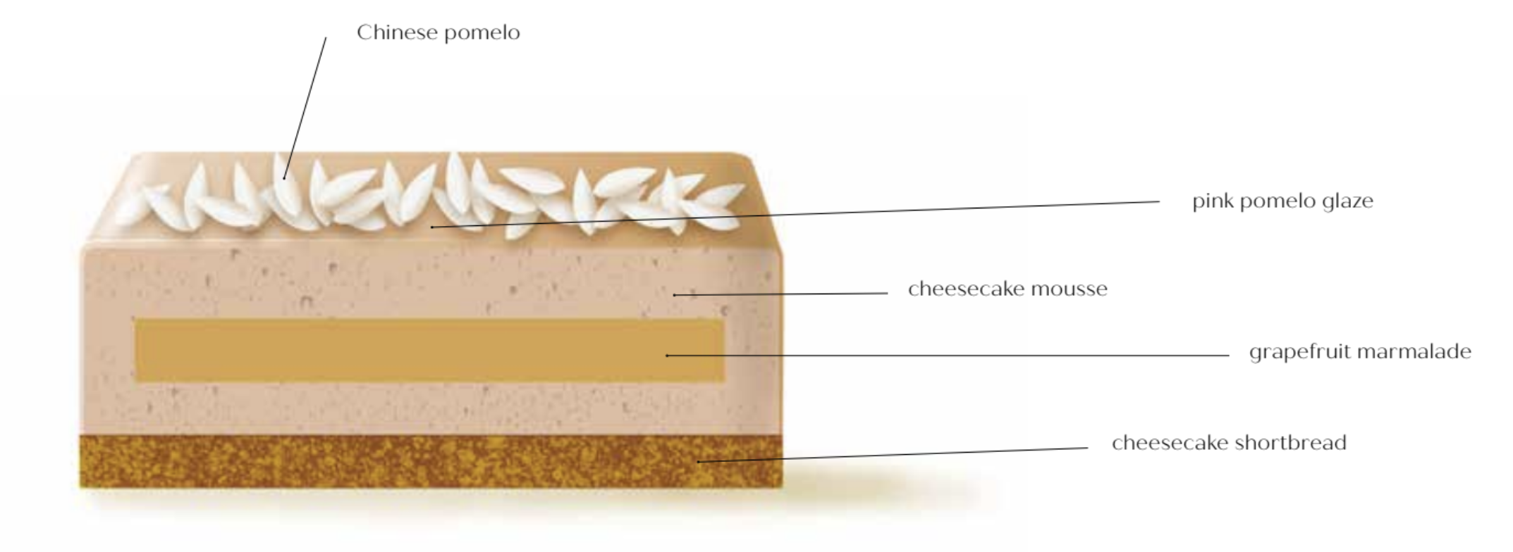 pomelo-cheesecake-graphic