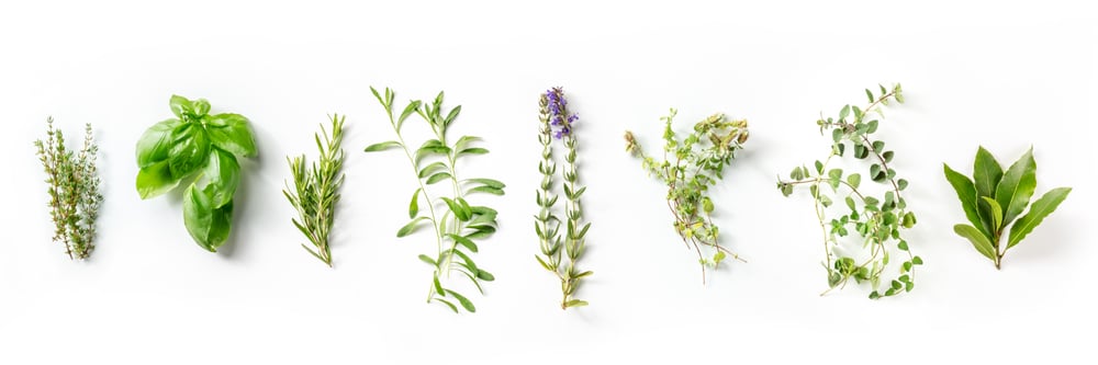 herbes-de-provence-french-aromatic-herbs