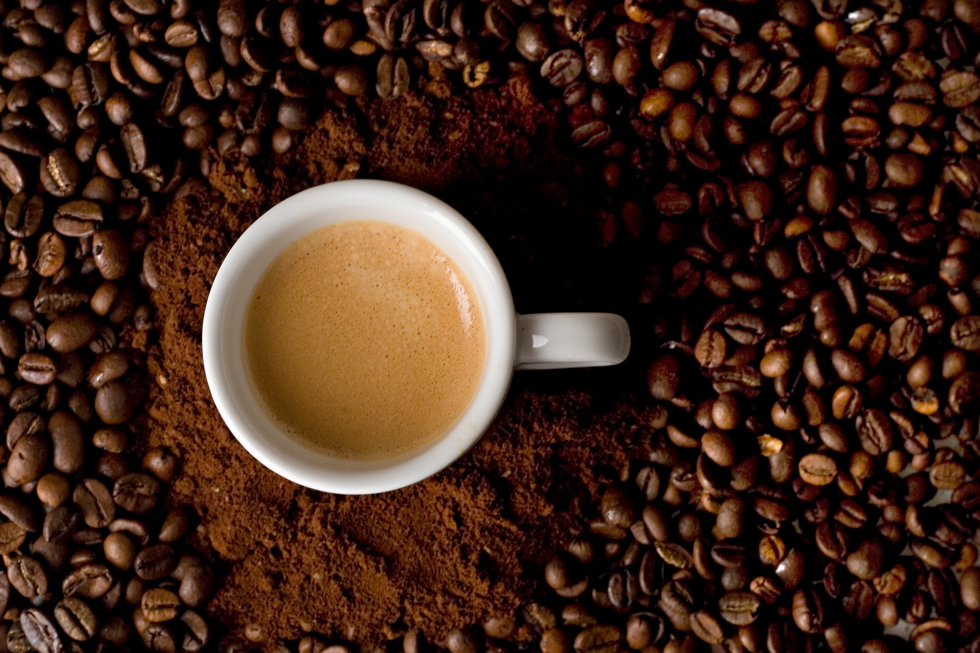 studioMalongocatalogue ©Malongo